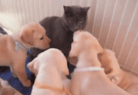 010413-8.gif