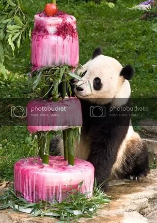 090709-05-panda-birthday-cake_big.jpg