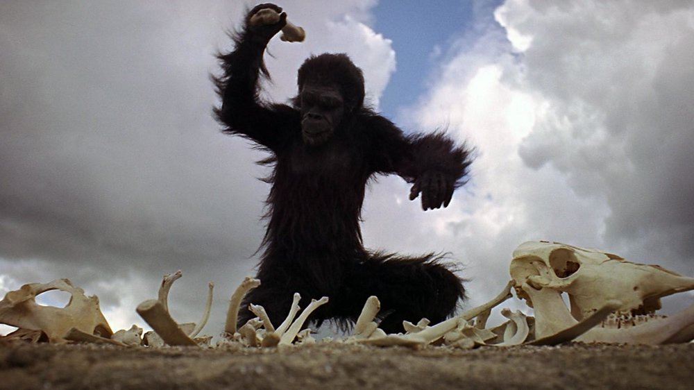 1415182318_2001_a_space_odyssey_scimmia.jpg