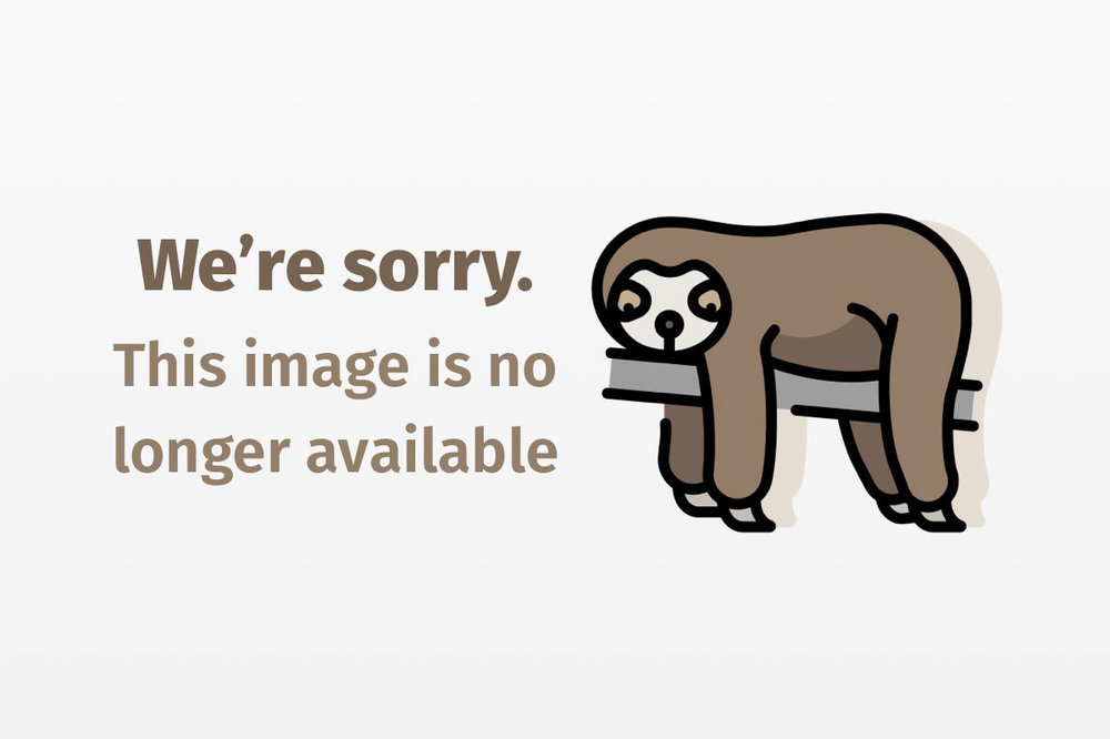 22456f.gif