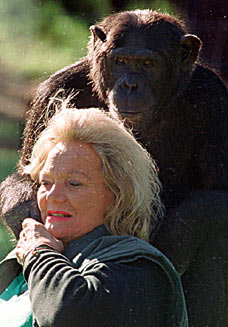 2Kaluchimp_228x327.jpg