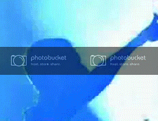 2h2dr9u.gif