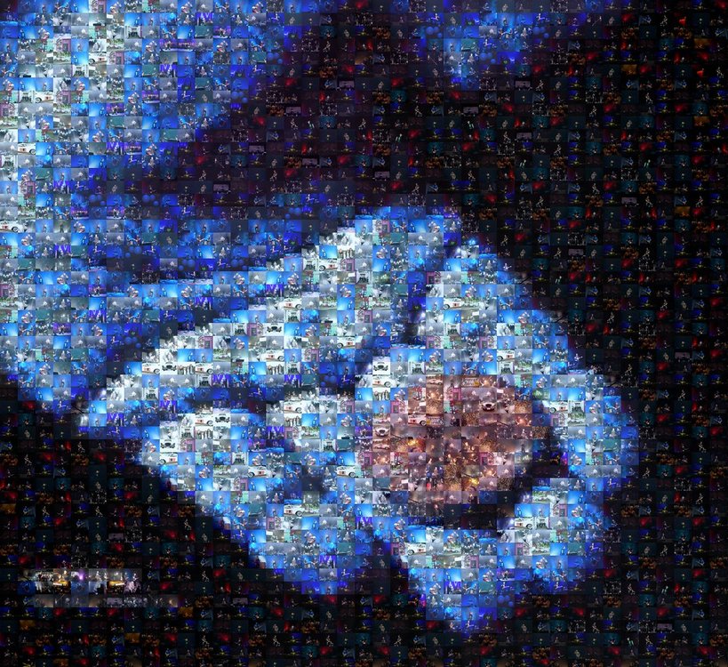 4072457399_43ed431549_b.jpg