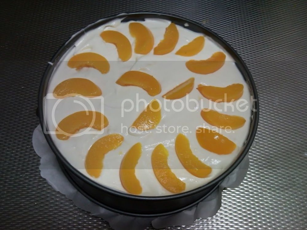 SNC00185.jpg?t=1260636696