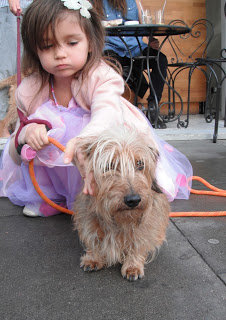 Dolly+24.9.11.JPG