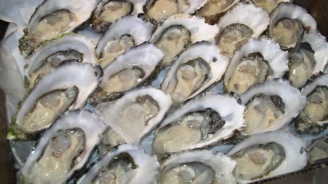 751175-oysters.jpg