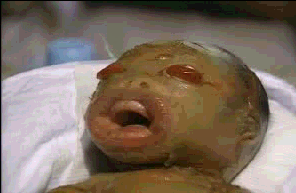 AlienBabyNew.png