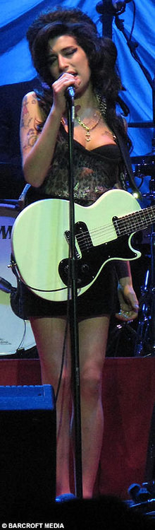 AmyBhamBARCROFT2_228x777.jpg