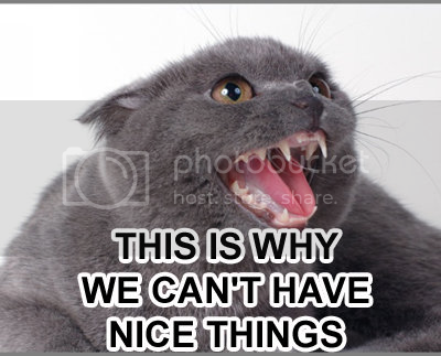 Arguecat.png