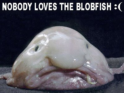 Blobfish.jpg