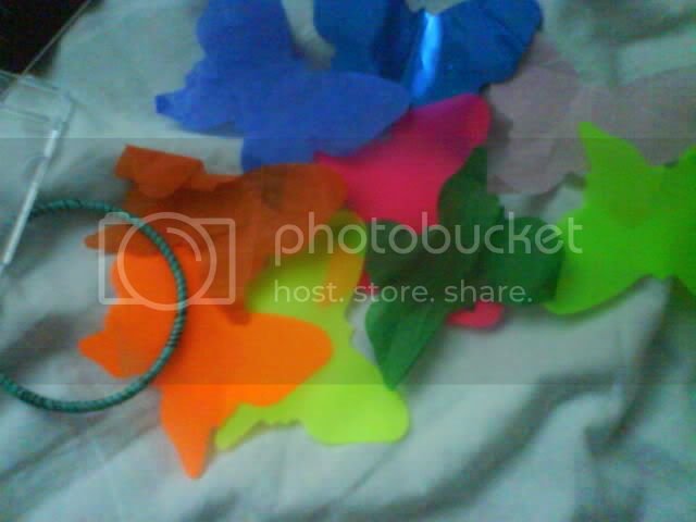 DSC00518.jpg