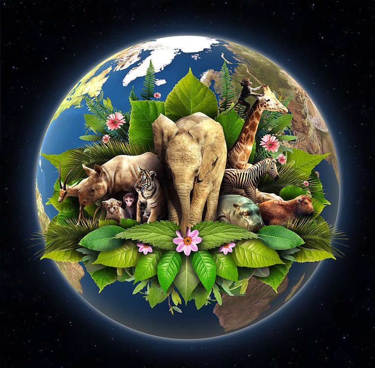 Earth-Day-Pictures-Gallery-3.jpg