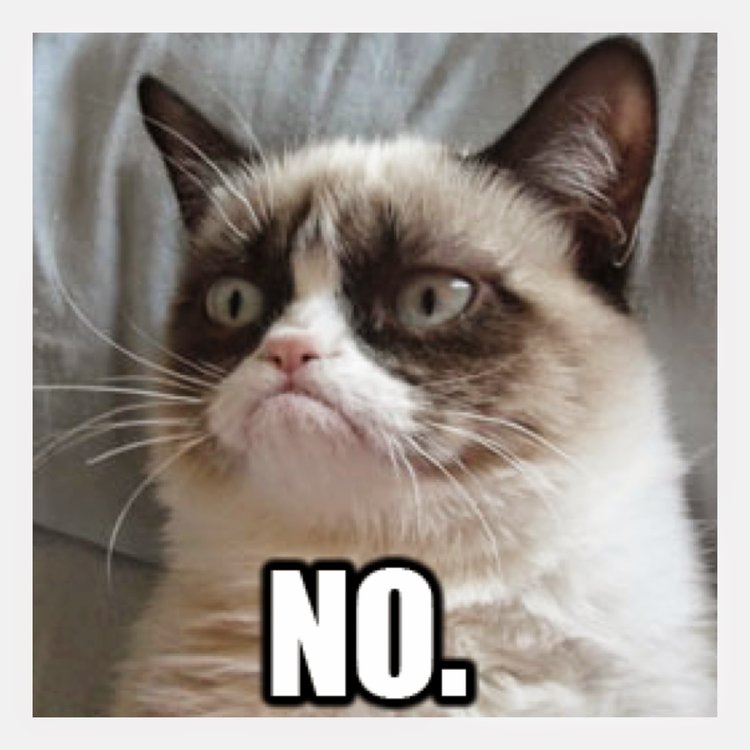 Grumpy_cat_quotes_no-5.jpg