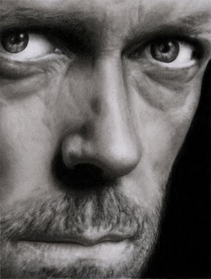 Hugh-hugh-laurie-817888_415_550.jpg