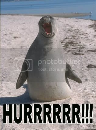 HurrSeal.jpg