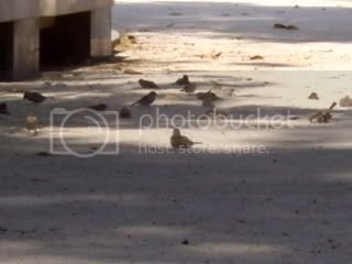 IMGP0839.jpg