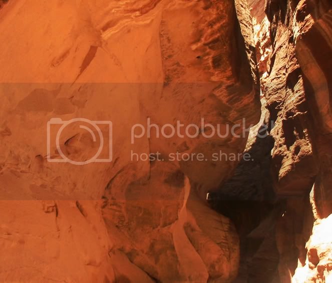 IMG_0318copy2.jpg