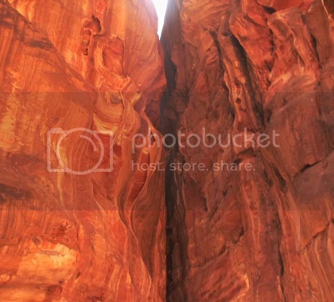 IMG_0332copy.jpg