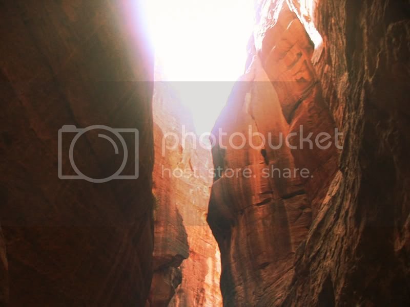 IMG_0338copy.jpg