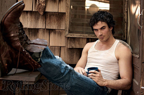 Ian-somerhalder-damon-and-elena-15228758-500-333.jpg