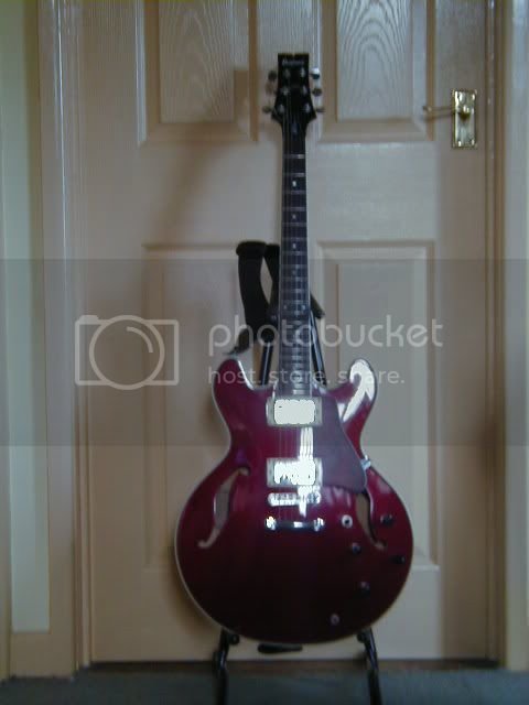 Ibanez.jpg