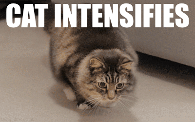 JykzFai.gif