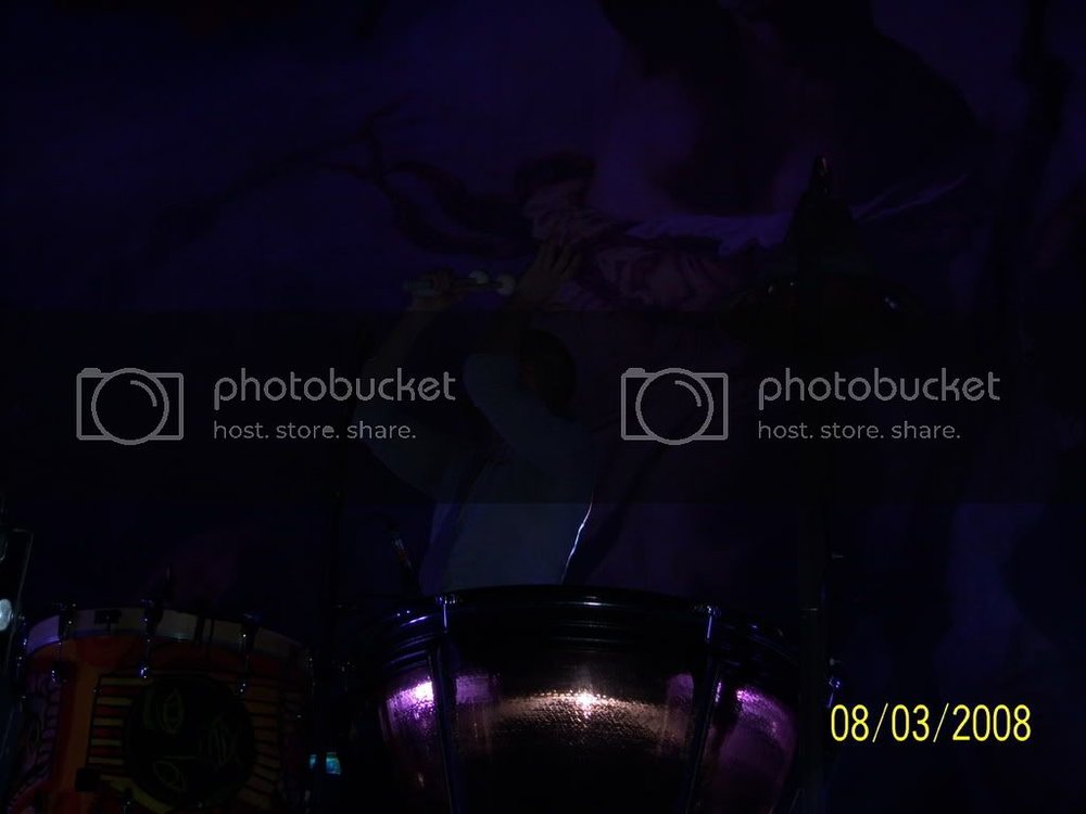 KatsPics485.jpg