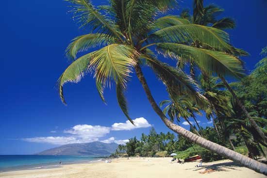 Maui-beachfront550.jpg