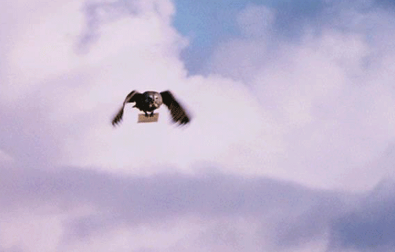 OWL_carrying_a_message.gif