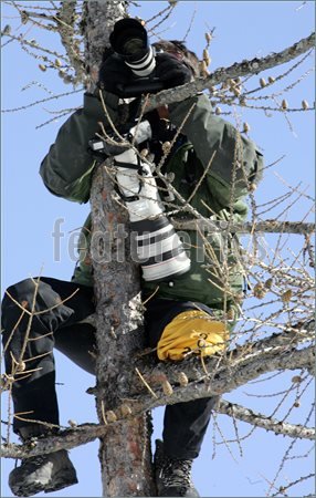 Paparazzi-Photographer-687235.jpg