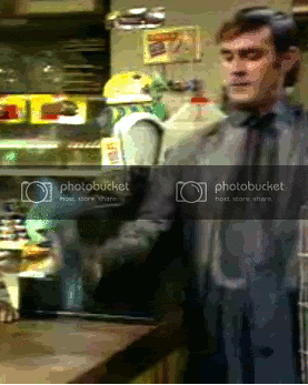 Pollypollyparrot.gif