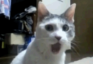 PostCaption_com_19861_full11.gif