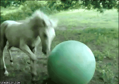 ROb9K.gif