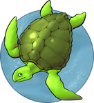 Sea_Turtle_by_spiritwolf77.png