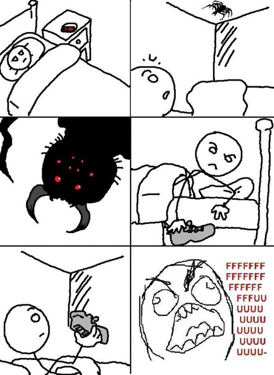 Spider-FFFFUUUU1.jpg
