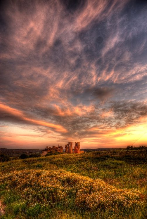 U93KiSa.jpg