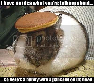 Understand-Bunny_Pancake1.jpg