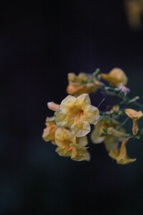 Untitled42_by_RUNNERREBELSTUNNER01.jpg