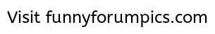 WTF-Dog.gif