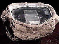 _41246738_rock2_i203_afp.jpg