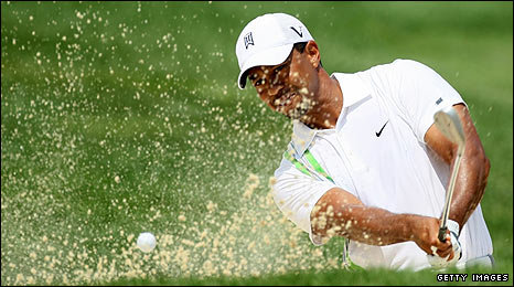 _48631026_tiger466.jpg