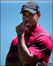 _48748829_woods282.jpg
