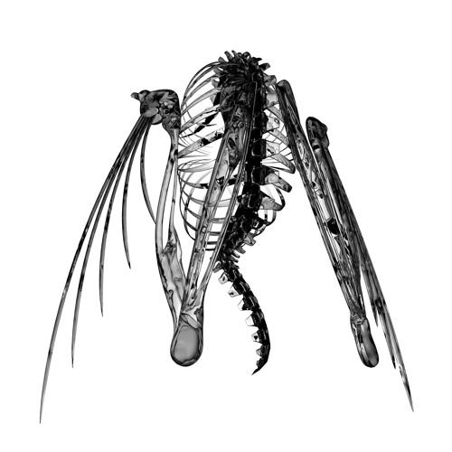 a450da90.jpg