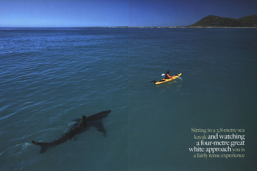 africageographic200509p4243.jpg