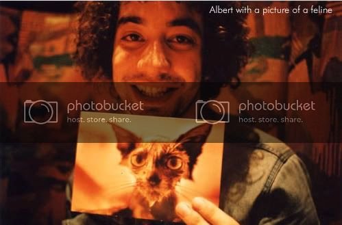 alcat.jpg