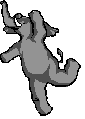 animated-gifs-elephants-035.gif