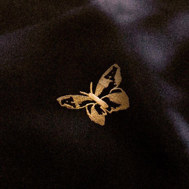 avalanches1-640x640.jpg