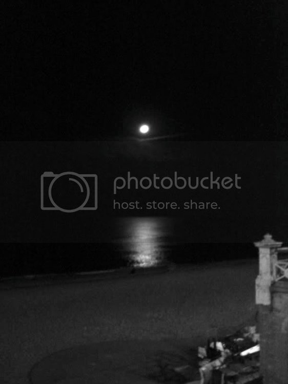 backinbrighton.jpg