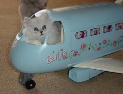 barbieplane.jpg