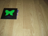 butterfly.gif